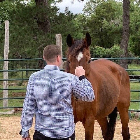 Boundaries & Balance: An Equine-Assisted Workshop on Healthy Boundary Setting - logo